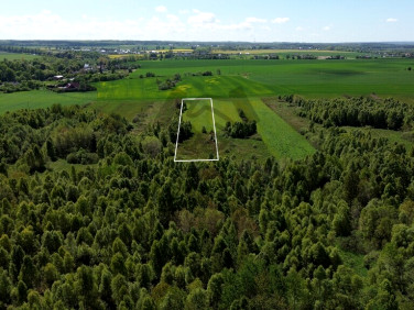 Działka rolna Starzyński Dwór