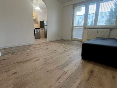 Mieszkanie blok mieszkalny wynajem