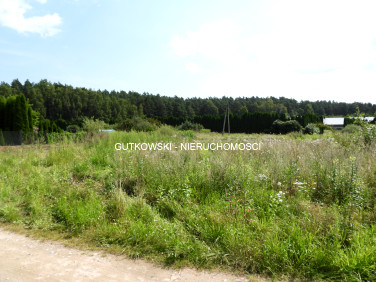 Działka przy lesie