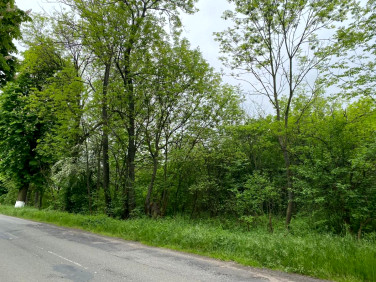 Działka budowlana Przecławice