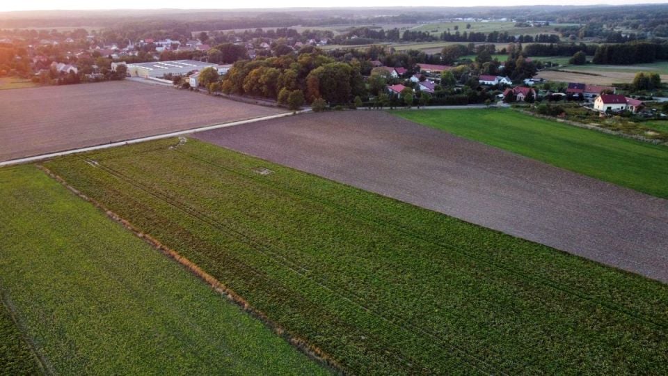 Zdjęcie 2