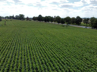 Działka usługowa Turów