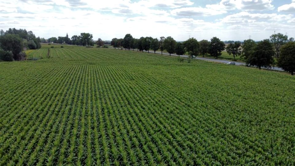 Działka usługowa Turów