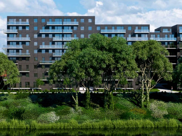 Lokal Wrocław sprzedaż