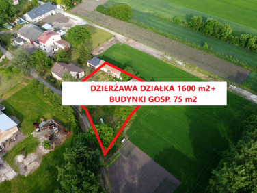 Działka rolna Grodziszów