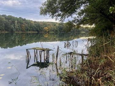 Działka rolna Głubczyn