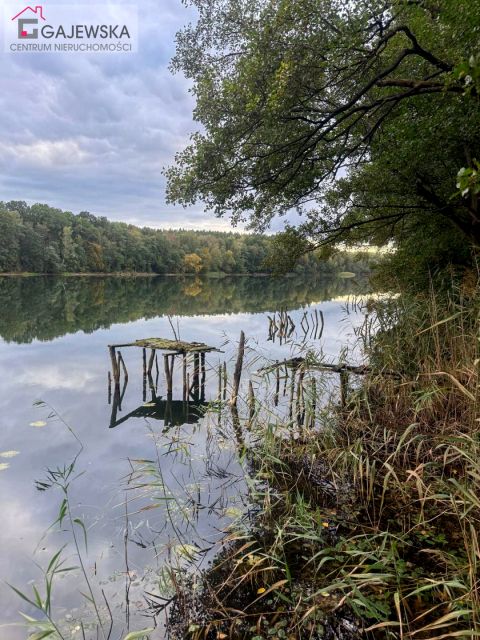 Działka rolna Głubczyn