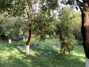 Działka rekreacyjna Poznań