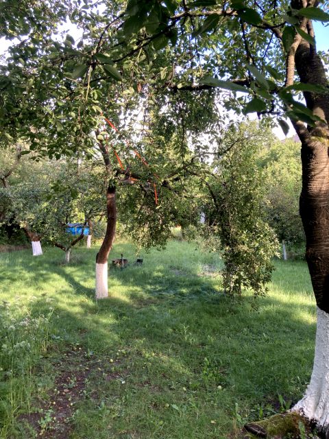 Działka rekreacyjna Poznań