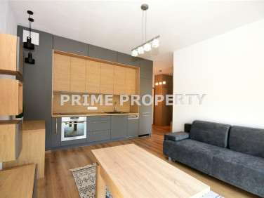 Mieszkanie apartamentowiec wynajem