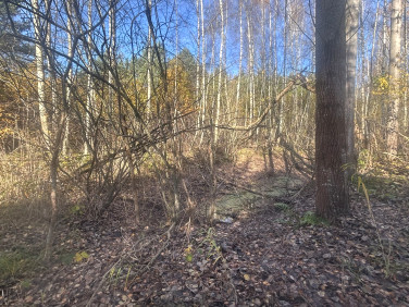 Działka budowlana Naterki