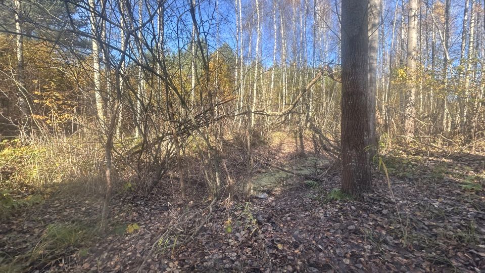 Działka budowlana Naterki