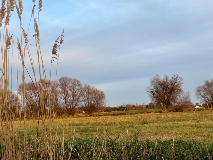 Działka Oleśniczka