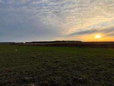 Działka rolna Oleśniczka