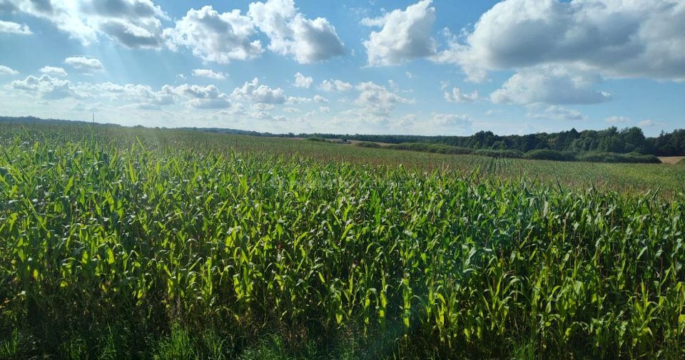 Działka rolna Urowo