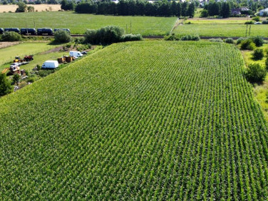 Działka budowlana Iwiny