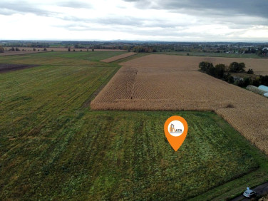 Działka inna Ścinawa Polska