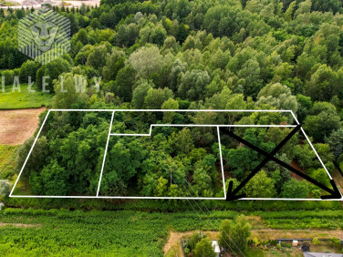 Działka Wilcza Góra