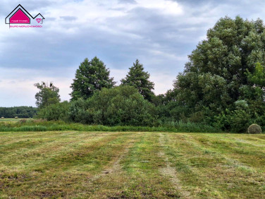 Działka rolna Wilcza Kłoda