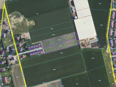 Pusta działka Ołtarzew