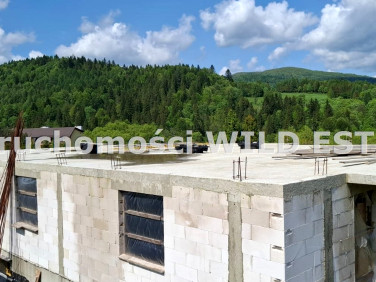 Dom wolnostojący sprzedaż