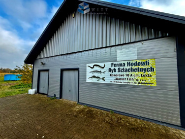 Lokal Łukta sprzedaż