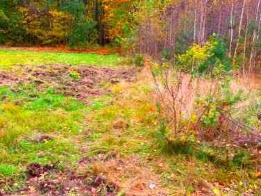 Działka budowlana Owczarnia