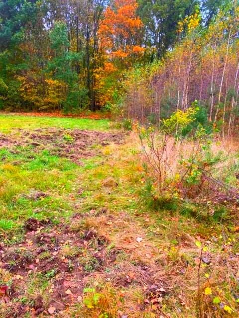 Działka budowlana Owczarnia