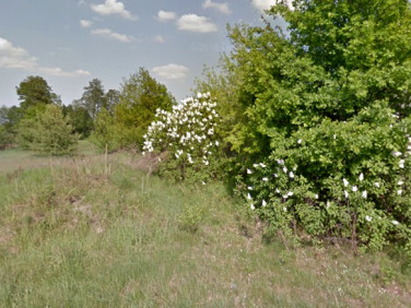 Działka budowlana Żyrardów