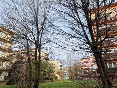 Mieszkanie Siemianowice Śląskie