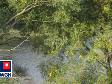 Działka rekreacyjna Gajewo