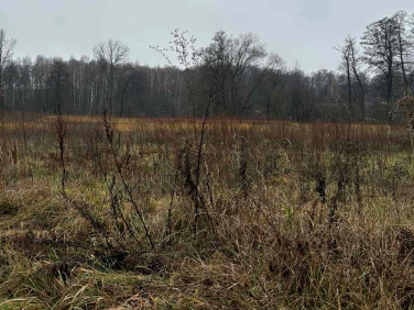 Działka budowlana Żabia Wola