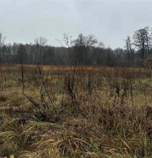 Działka budowlana Żabia Wola