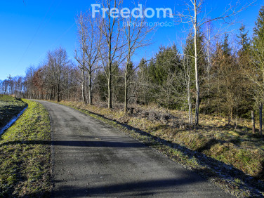 Działka inna Błędowa Tyczyńska sprzedam