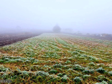 Działka budowlana Kobylany