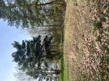 Działka budowlana Milanówek