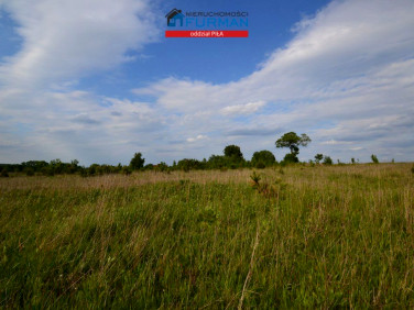 Działka inwestycyjna Stara Łubianka