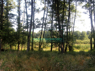 Działka leśna Bystrzanów