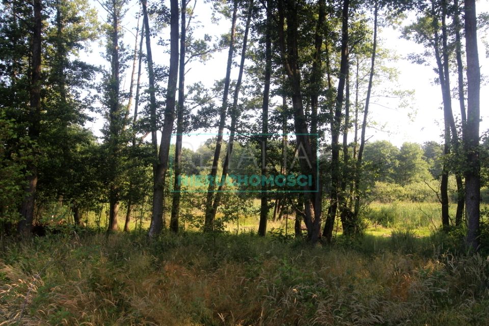 Działka leśna Bystrzanów