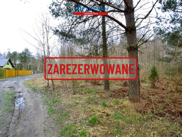 Działka budowlana Skórka