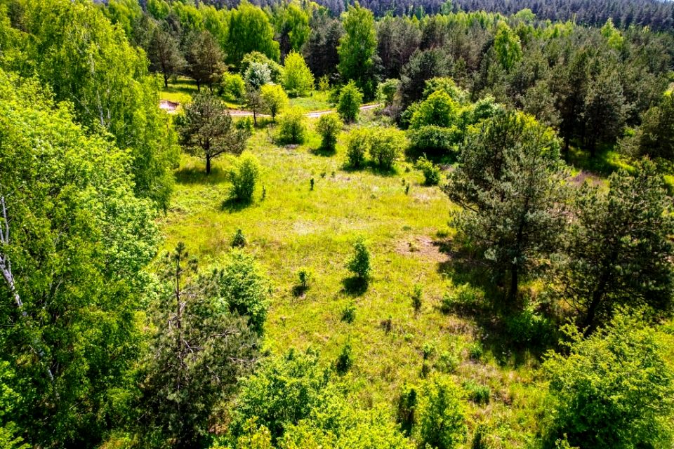 Działka Cierzpięty