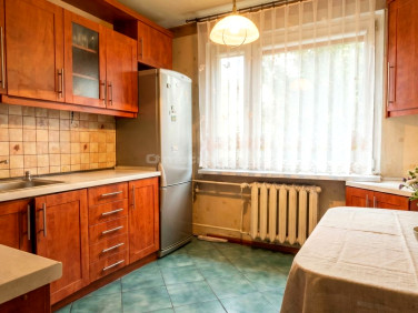 Mieszkanie Bielsko-Biała sprzedaż