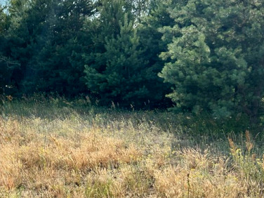 Działka budowlana Stara Wieś