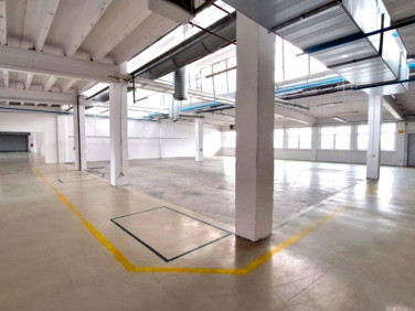 Lokal Pabianice wynajem