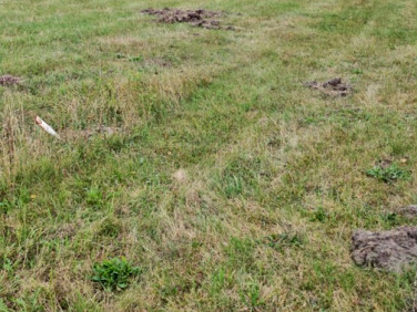 Działka budowlana Budy Zosine sprzedam