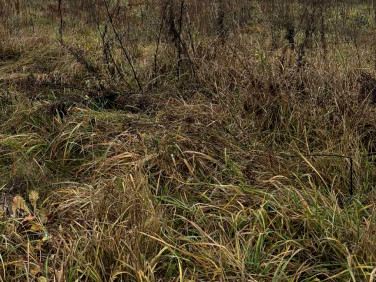 Działka budowlana Żabia Wola