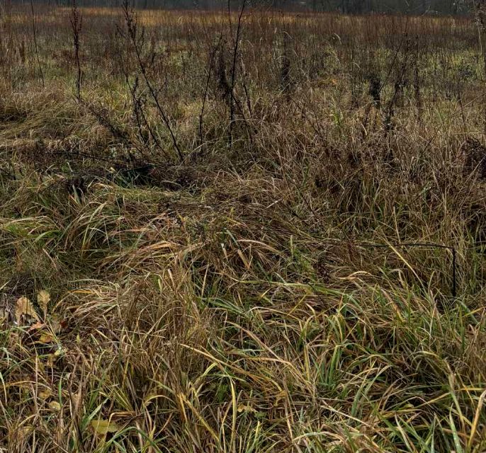 Działka budowlana Żabia Wola