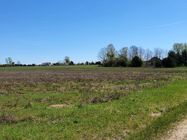 Działka budowlana Rykoszyn