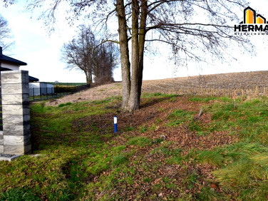 Działka budowlana Studzionka