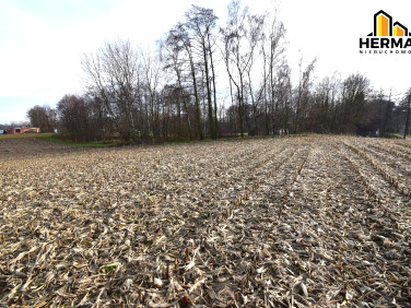 Działka budowlana Studzionka sprzedam